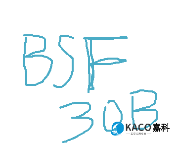 鮑斯BSF系列油霧過濾器BSF30B