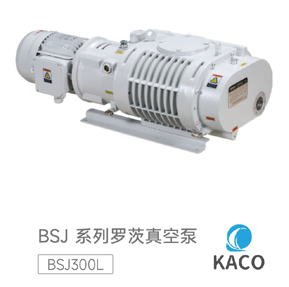 羅茨泵BSJ300L